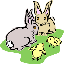 bunnies